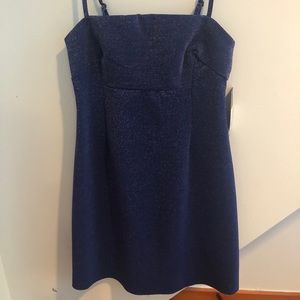 BRAND NEW WITH TAGS Special Occasion Mini Dress